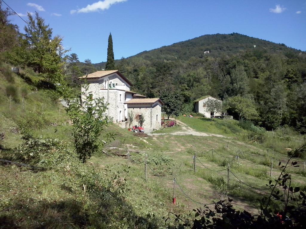 Agriturismo Di La Dall'Acqua 菲维扎诺 外观 照片