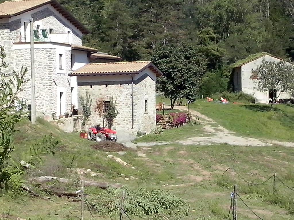 Agriturismo Di La Dall'Acqua 菲维扎诺 外观 照片