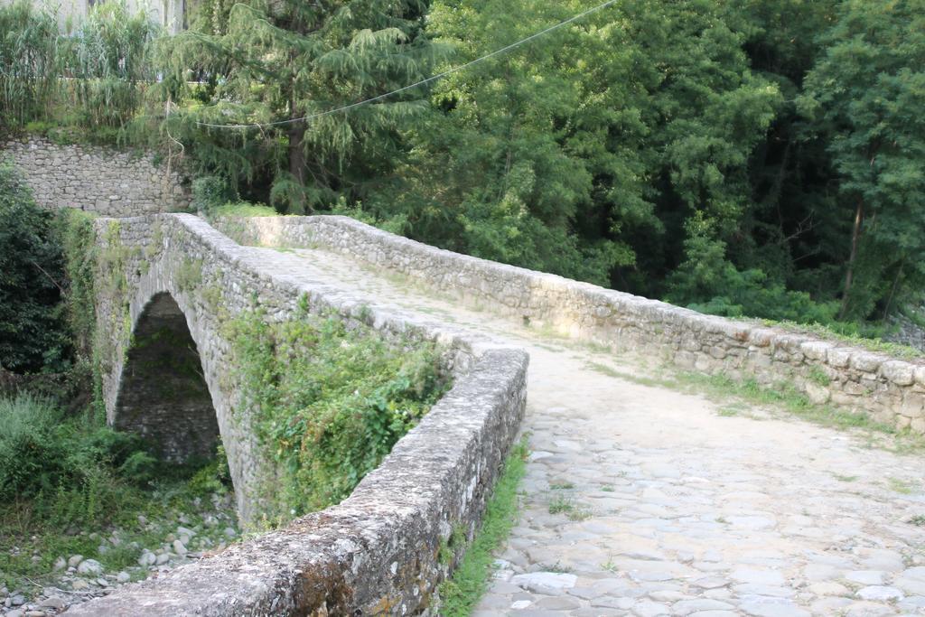 Agriturismo Di La Dall'Acqua 菲维扎诺 外观 照片