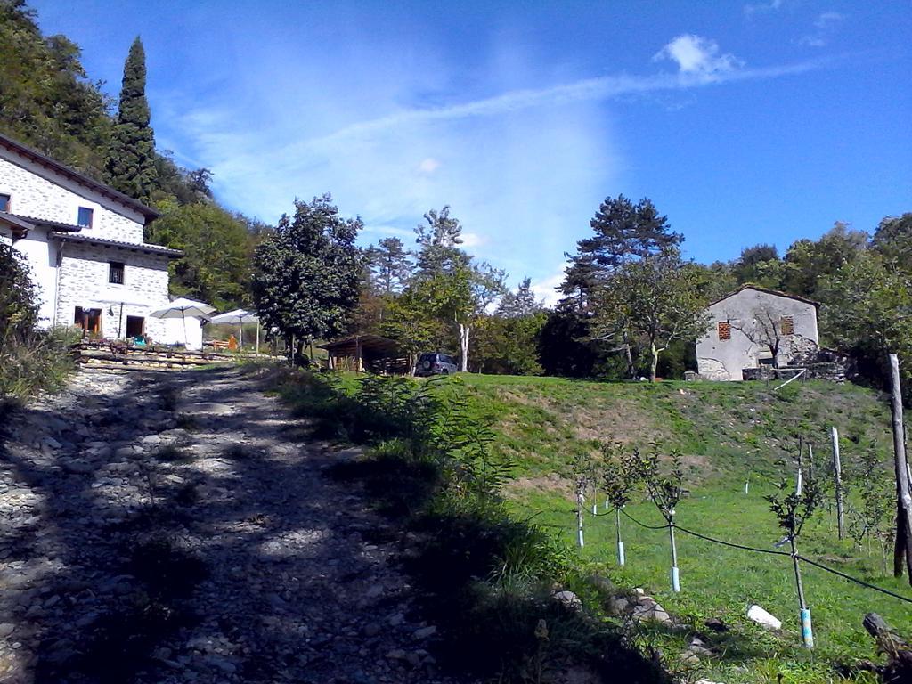Agriturismo Di La Dall'Acqua 菲维扎诺 外观 照片