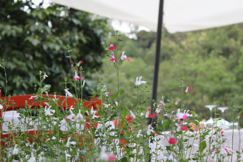 Agriturismo Di La Dall'Acqua 菲维扎诺 外观 照片