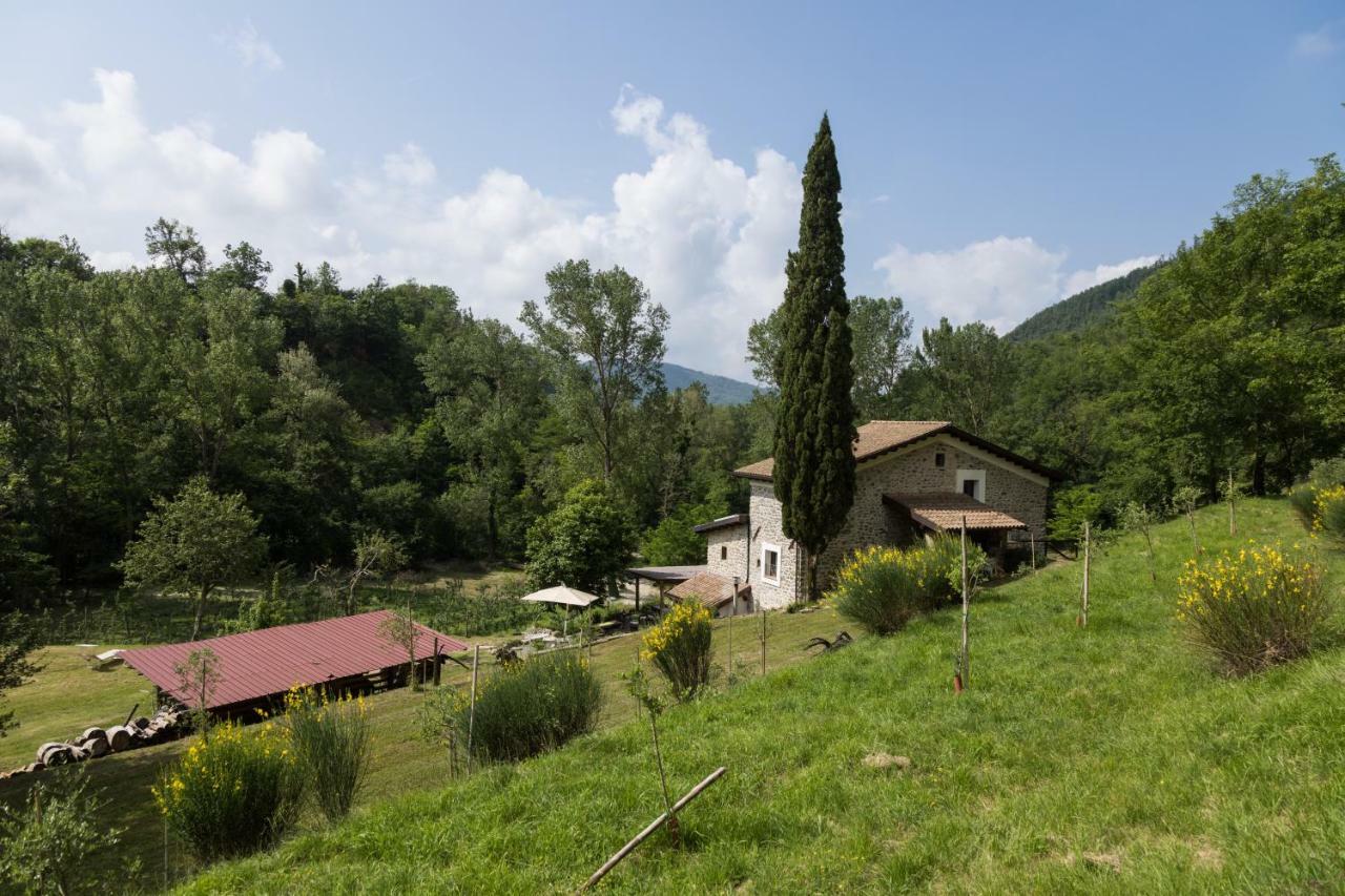 Agriturismo Di La Dall'Acqua 菲维扎诺 外观 照片