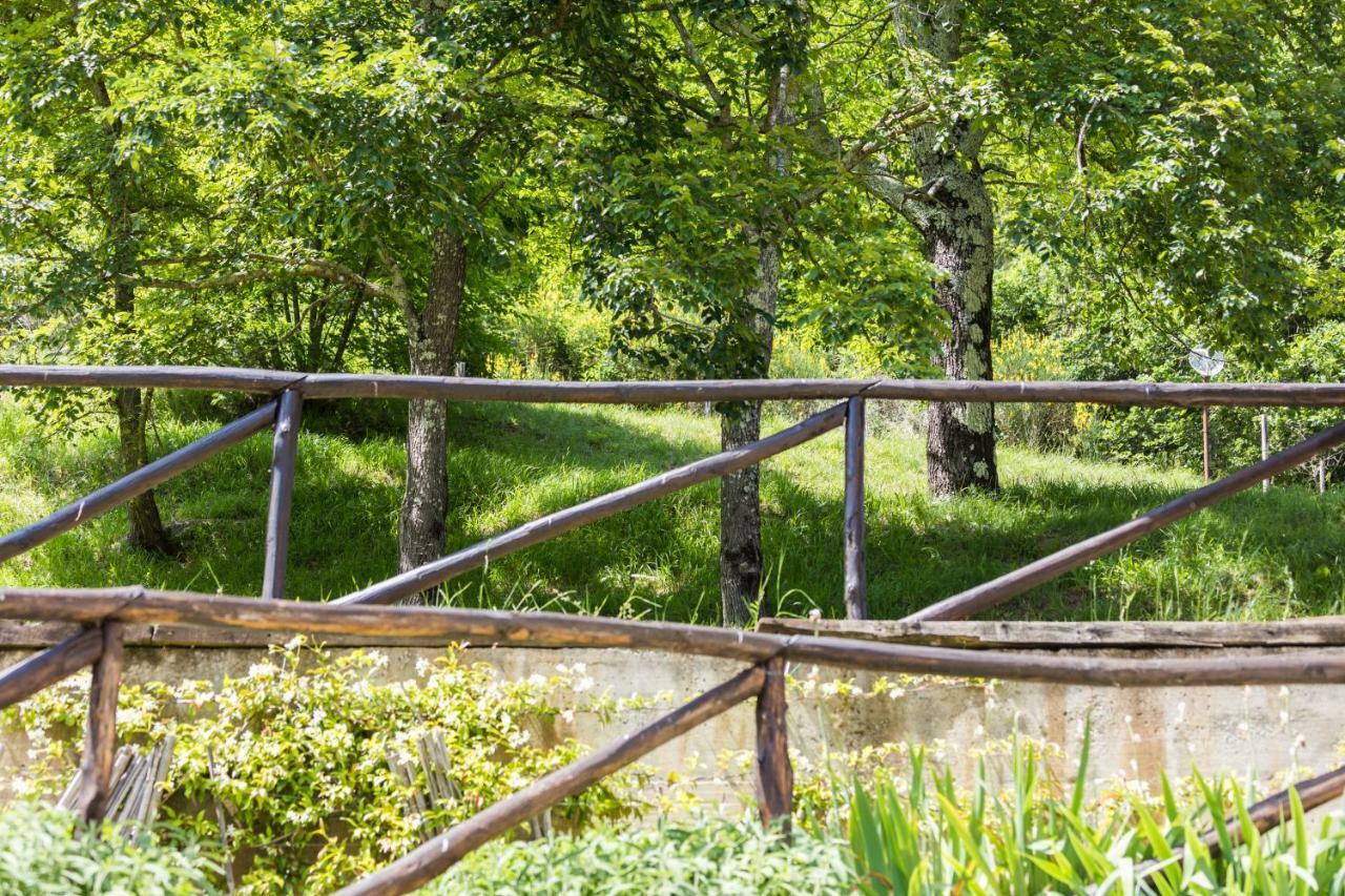 Agriturismo Di La Dall'Acqua 菲维扎诺 外观 照片