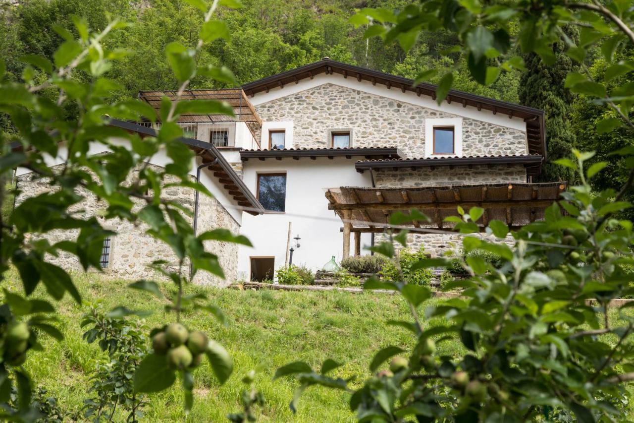 Agriturismo Di La Dall'Acqua 菲维扎诺 外观 照片