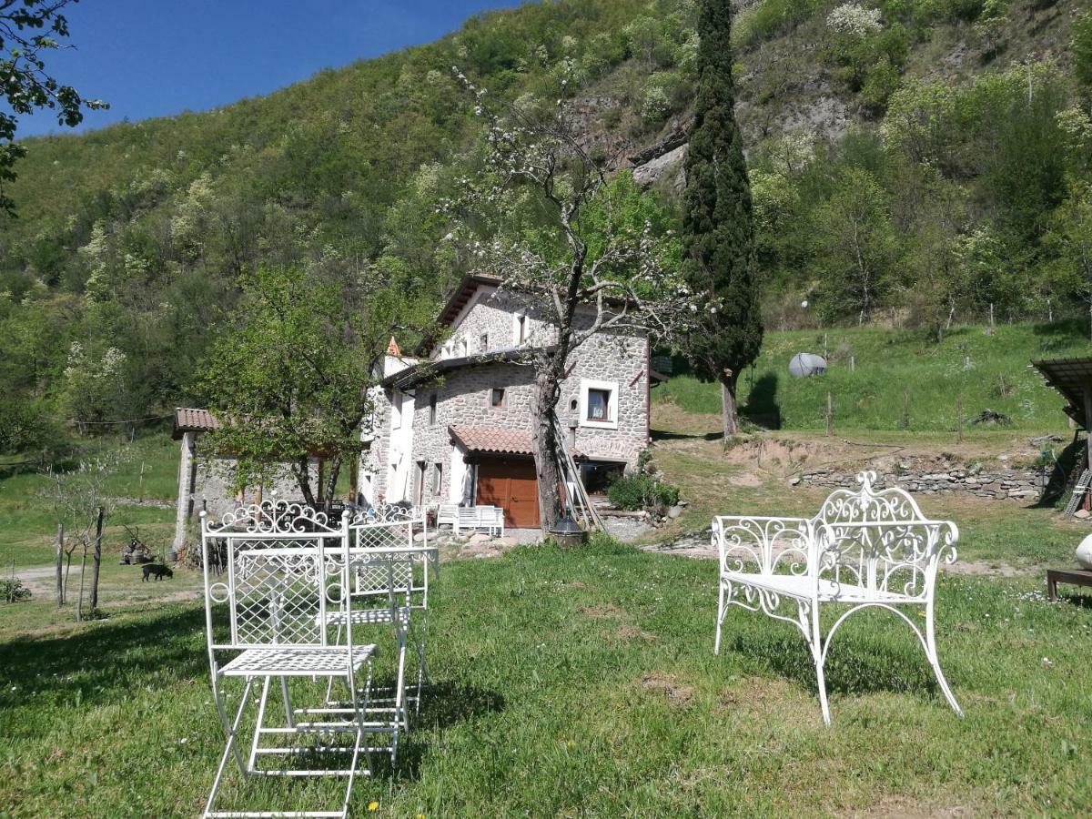 Agriturismo Di La Dall'Acqua 菲维扎诺 外观 照片
