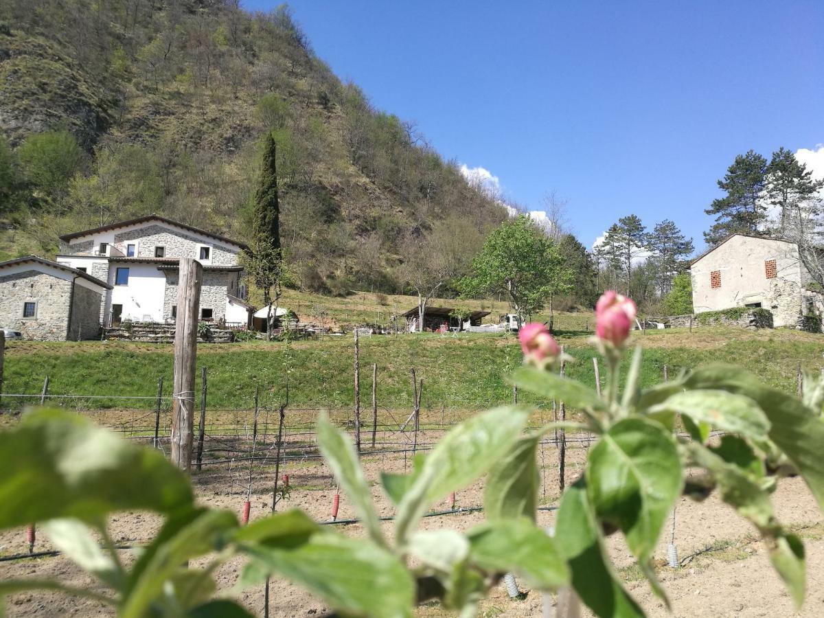 Agriturismo Di La Dall'Acqua 菲维扎诺 外观 照片