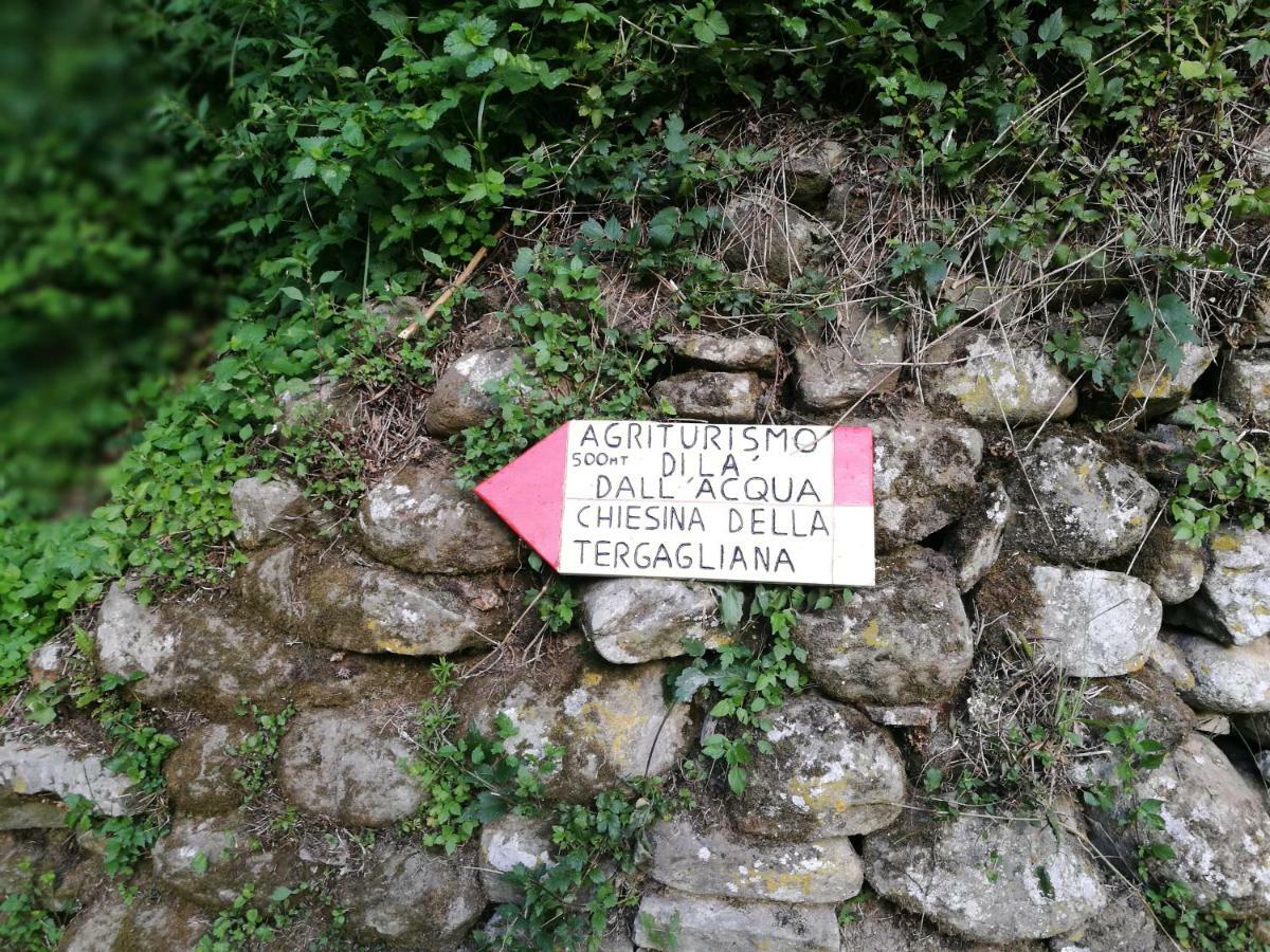 Agriturismo Di La Dall'Acqua 菲维扎诺 外观 照片